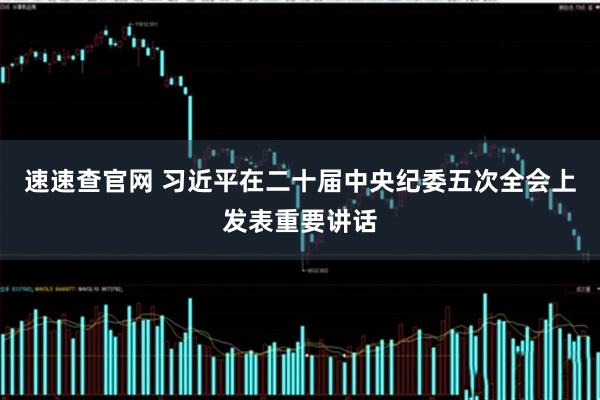 速速查官网 习近平在二十届中央纪委五次全会上发表重要讲话