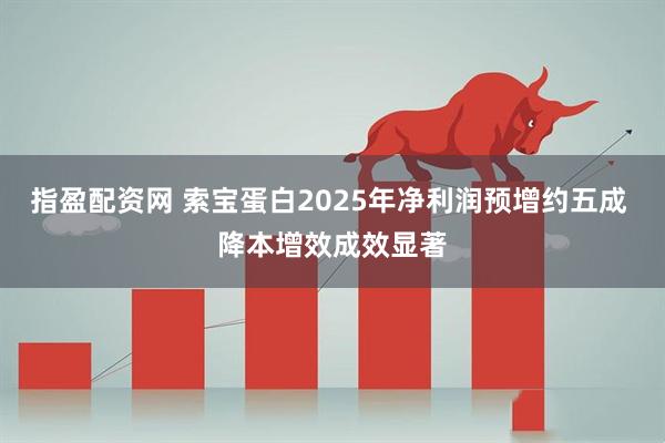 指盈配资网 索宝蛋白2025年净利润预增约五成 降本增效成效显著