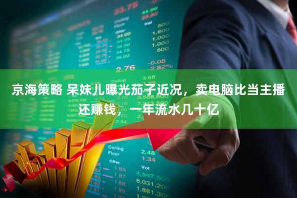 京海策略 呆妹儿曝光茄子近况，卖电脑比当主播还赚钱，一年流水几十亿