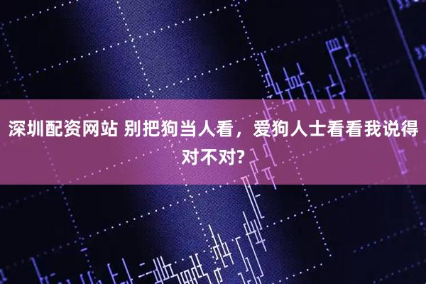 深圳配资网站 别把狗当人看，爱狗人士看看我说得对不对?